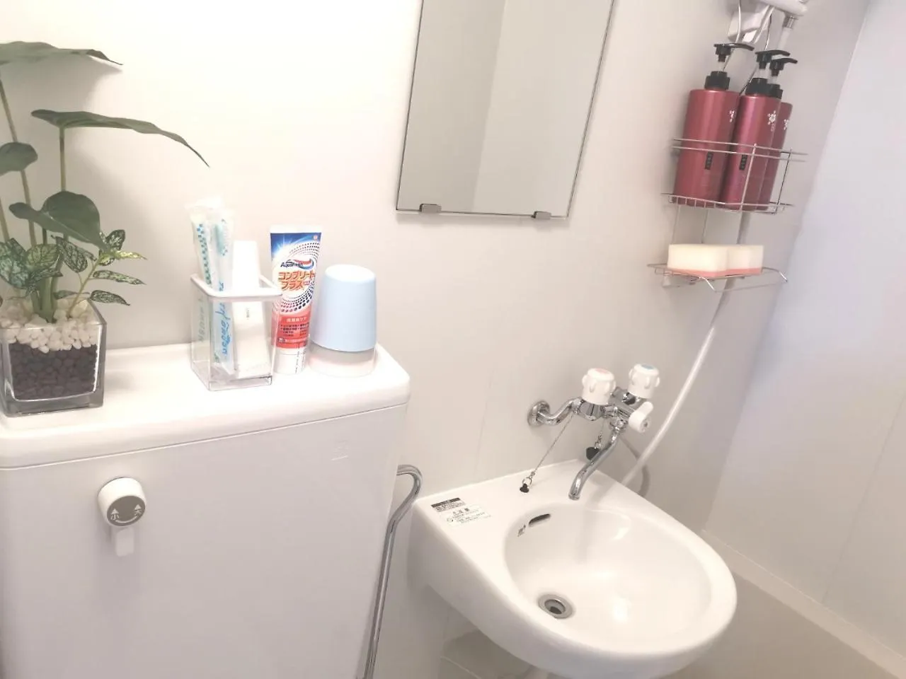 Xl House-Self Check In- Will Send Room Number And Password Tokyo Japan